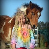 gypsy cob for sale australia, gypsy horse, gypsy vanner, filly, foal, bay tobiano filly, pinto, for sale at High Street Gypsy Cobs Australia.