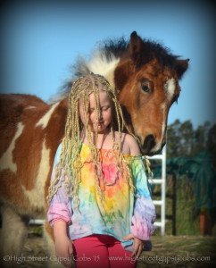 Horse friendly accomodation, pet friendly accomodation australia, Ballina accomodation, horse friendly, camping . bed & breakfast, 