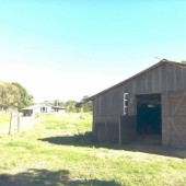 pet friendly accomodation in Ballina, byron bay, horse friendly accomodation, camping, caravan park, high street farm, agistment, horse hotel, holiday accomodation wardell